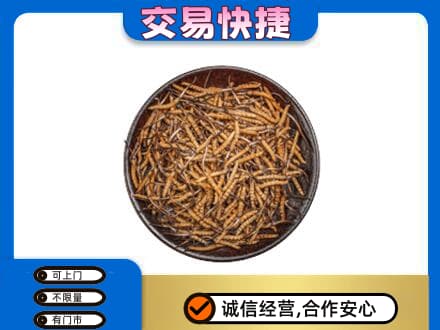太原回收散虫草